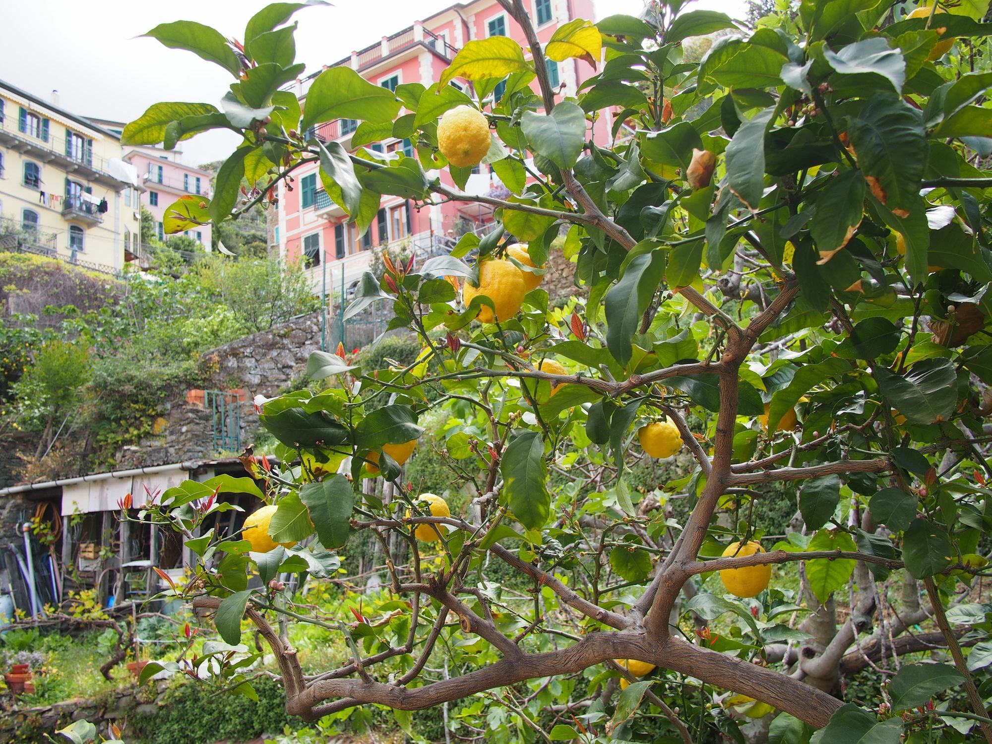 Hotel Ciao Bella Rainbow Riomaggiore Zewnętrze zdjęcie